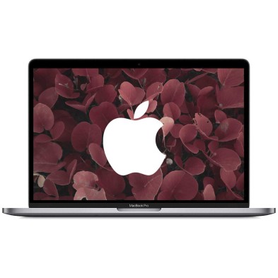 Apple MacBook Pro 13" Retina TouchBar (2020) / Intel Core i7-1068NG7
