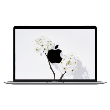 Apple MacBook Air 13" (True Tone, 2019) / Intel Core I5-8210Y