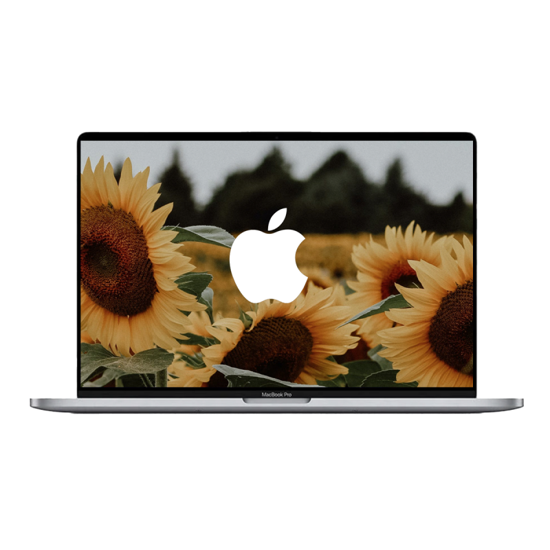 Apple MacBook Pro 16" (2019) Spacegrau / Intel Core i9-9880HK / Radeon Pro 5300M