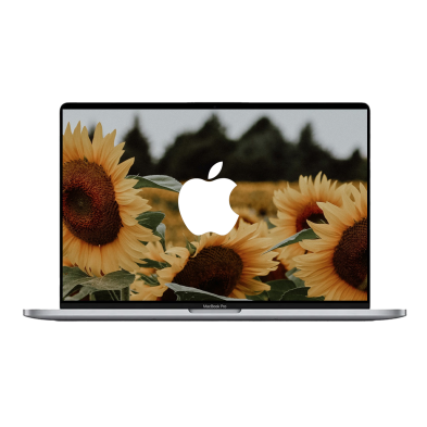 Apple MacBook Pro 16" (2019) Space grey / Intel Core i9-9880HK / Radeon Pro 5300M