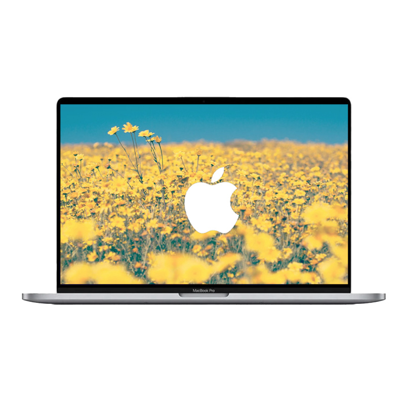 Apple MacBook Pro 16" (2019) Spacegrau / Intel Core i9-9880H / Radeon Pro 5500M