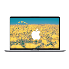 Apple MacBook Pro 16" (2019) Space grey / Intel Core i9-9880H / Radeon Pro 5500M