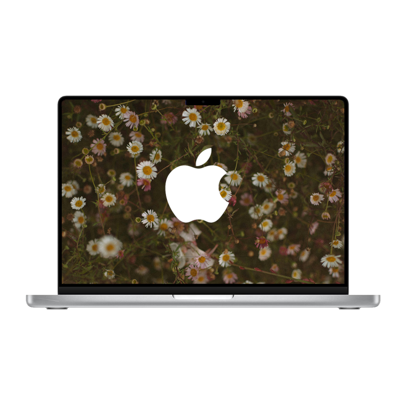 Apple MacBook Pro 14" Retina (2021) / Chip M1 Pro 8 Apple