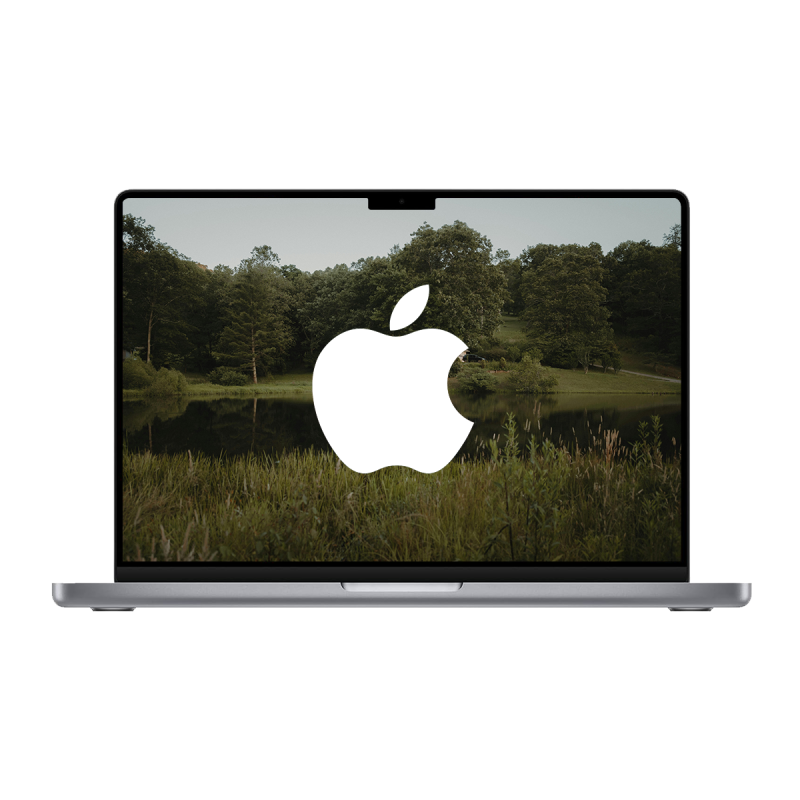 Apple MacBook Pro 14" Retina (2021) / Chip M1 Pro 10-Core Apple