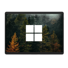 Microsoft Surface Pro 8 Tactile Silver / Intel Core i5-1145G7 / 13" QHD+ / Avec Clavier