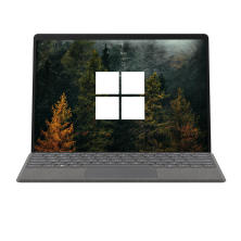 Microsoft Surface Pro 8 Tactile Silver / Intel Core i5-1145G7 / QHD+ 13" / Avec Clavier