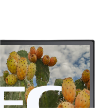 Nec MultiSync EA271F 27" LED FullHD