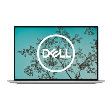Dell XPS 13 9310 Silver / Intel Core i5-1135G7 / 13" FHD