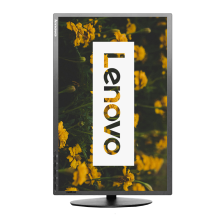 Lenovo ThinkVision T2254p 22" HD WLED