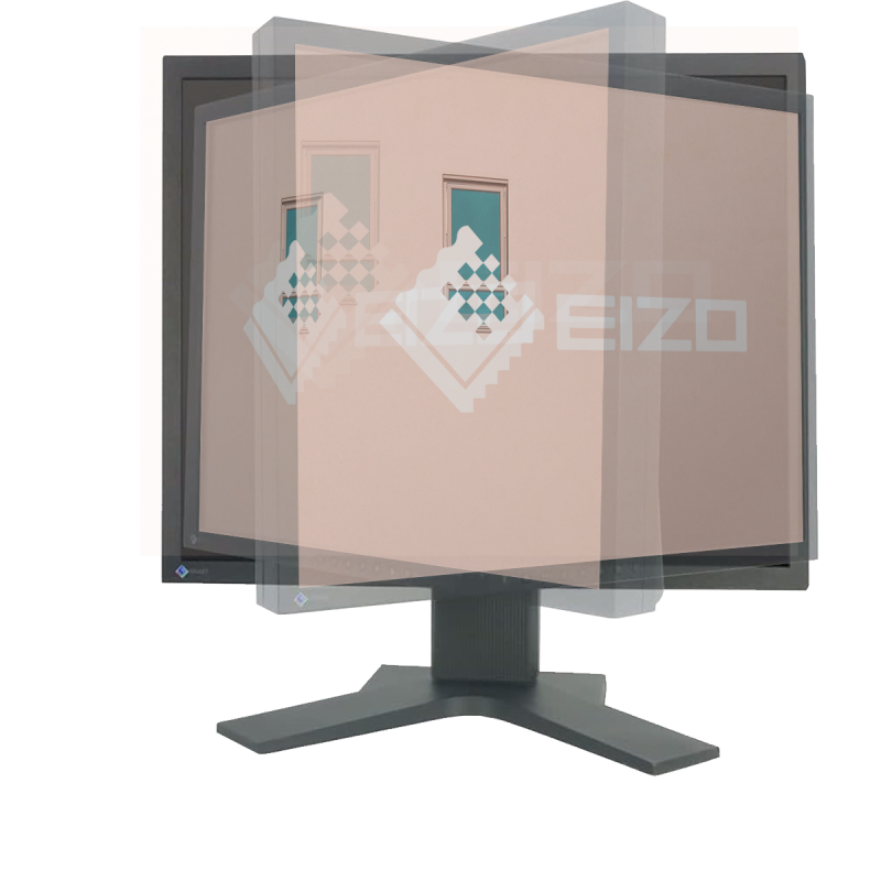Eizo FlexScan L887 20" HD