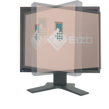 OUTLET Eizo FlexScan L887 20" HD