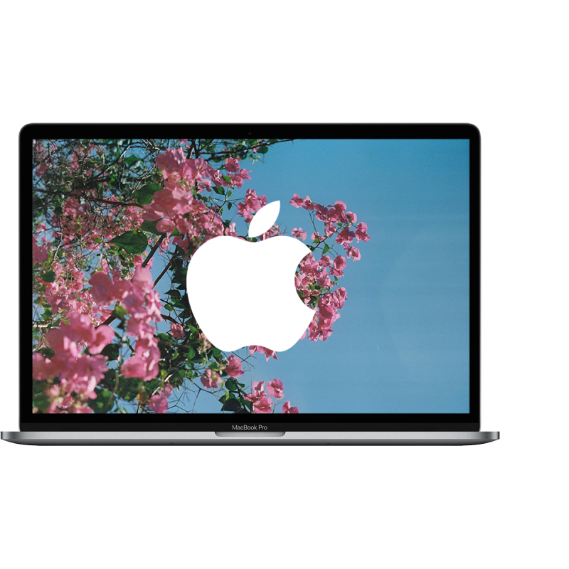 Apple MacBook Pro 15" TouchBar (End 2019) / Intel Core i9-9880H / AMD Radeon Pro 560X