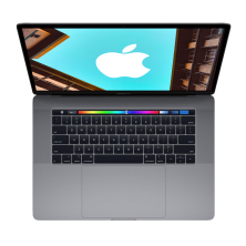 Apple MacBook Pro 15" Retina TouchBar (2018) / Intel Core i7-8850H / AMD Radeon Pro 560X