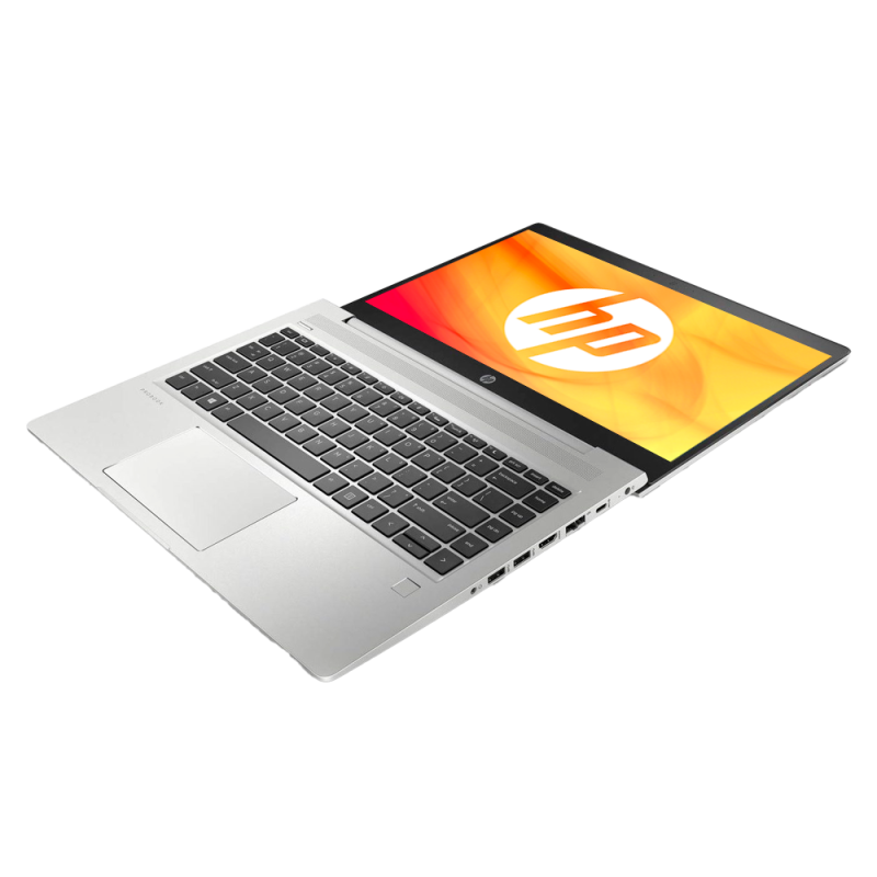 HP ProBook 455 G6 / AMD Ryzen 5 3500U / 15" FHD