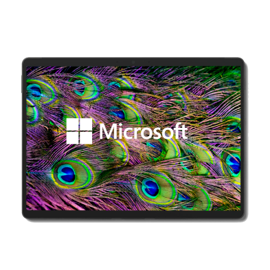 Microsoft Surface Pro 8 Black Tactile / Intel Core i7-1185G7 / 13" QHD+ / Sans Clavier