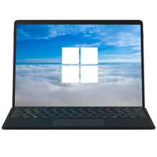 Microsoft Surface Pro 8 Touchscreen Black / Intel Core i7-1185G7 / QHD+ 13" / Mit Tastaur