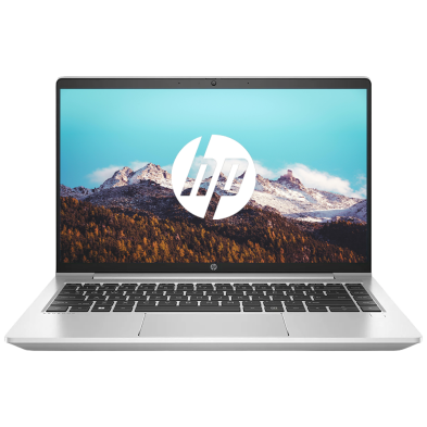 HP ProBook 455 G7 / AMD Ryzen 3 4300U / 15" FHD