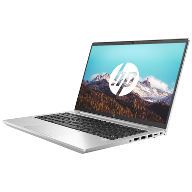 HP ProBook 455 G7 / AMD Ryzen 3 4300U / 15" FHD