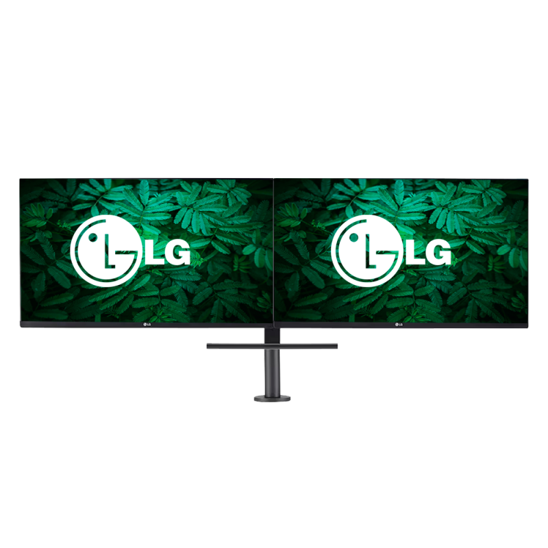 LG 27QP88D Ergo Dual Monitor 27'' QHD LED