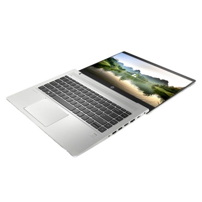 Outlet HP ProBook 455 G6 / AMD Ryzen 5 3500U / 15" FHD