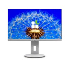 Fujitsu Display B2410 24" LED IPS FHD