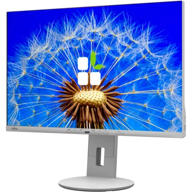 Fujitsu Display P2410 / Trendy Ergonomic / 24" LED IPS FHD
