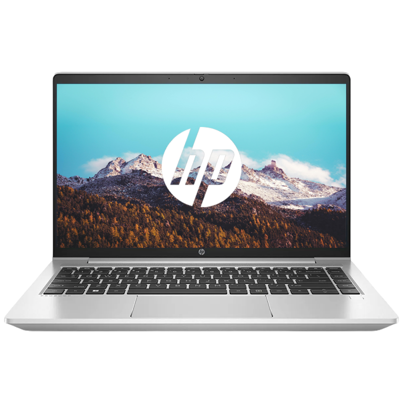 HP ProBook 455 G7 / AMD Ryzen 3 4300U / 15" FHD