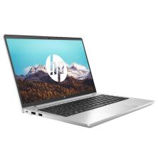 HP ProBook 455 G7 / AMD Ryzen 3 4300U / 15" FHD