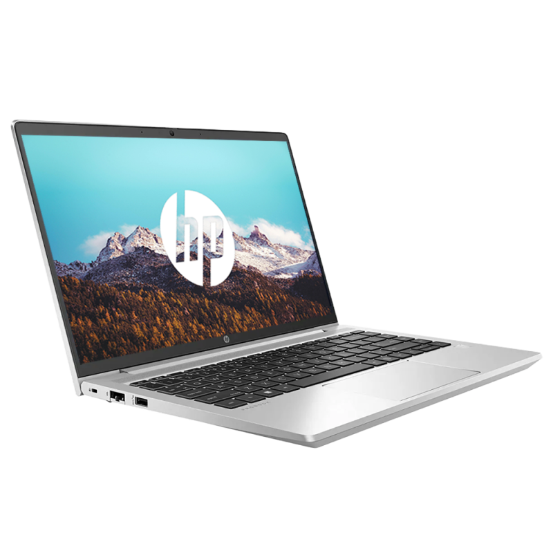 HP ProBook 455 G7 / AMD Ryzen 3 4300U / 15" FHD