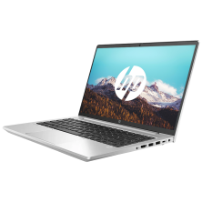 HP ProBook 455 G7 / AMD Ryzen 3 4300U / 15" FHD