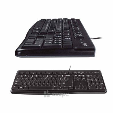 Keyboard Logitech Desktop MK120 QWERTY