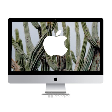 iMac 21" (Finales del 2013) Core i5 2,9 GH / Clavier et souris compatibles