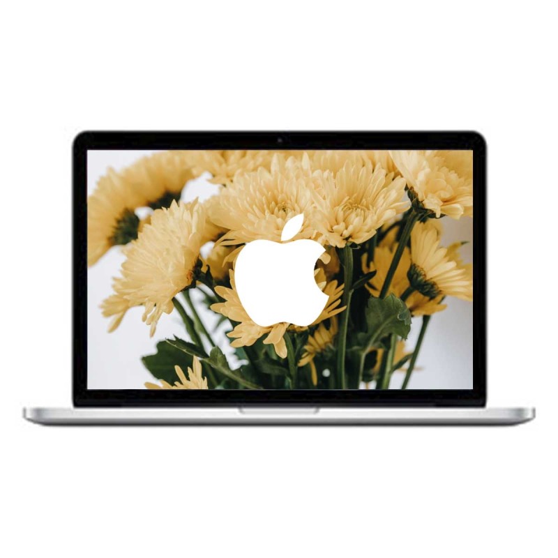 MacBook Pro 13" (Mid 2014) / Intel Core I5-4278U  / 8 GB / 128 NVME